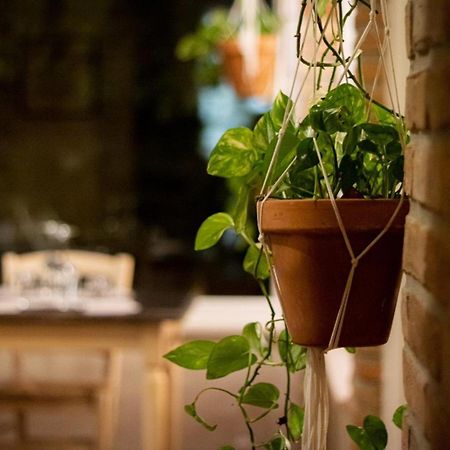 Vila Agricola Casa Cucina Bottega Cesena Exteriér fotografie