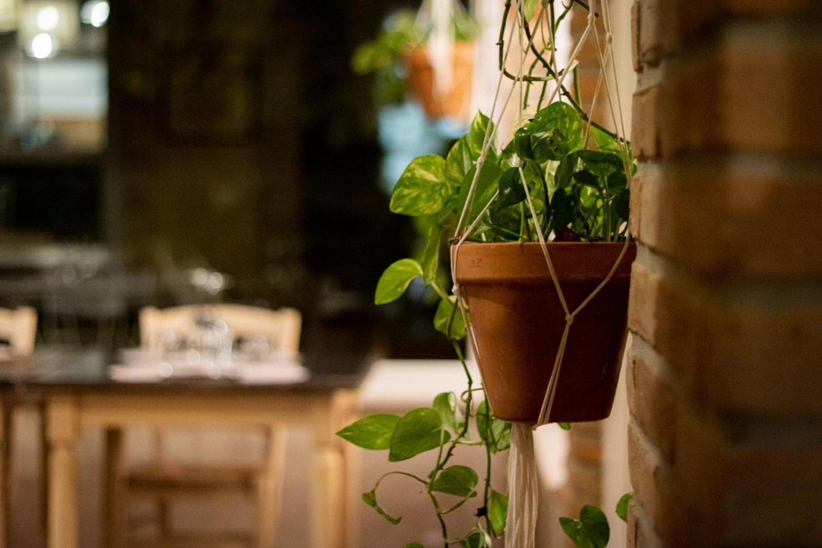 Vila Agricola Casa Cucina Bottega Cesena Exteriér fotografie