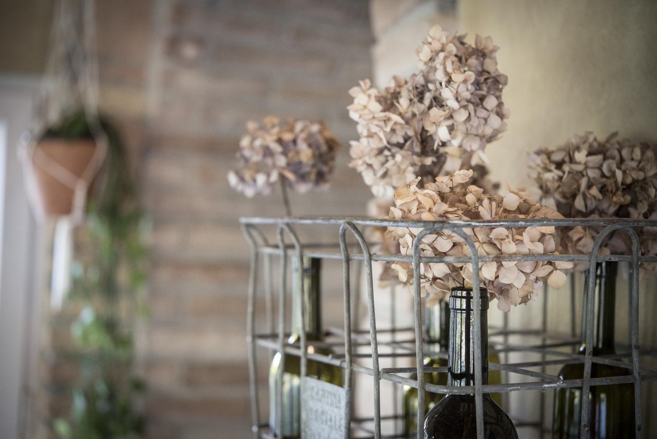 Vila Agricola Casa Cucina Bottega Cesena Exteriér fotografie